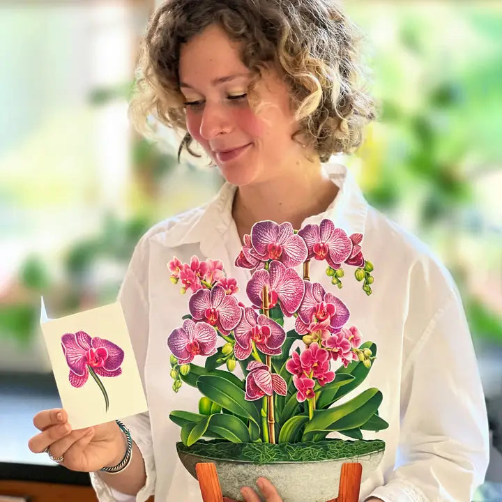 Orchid Oasis Pop-Up Greeting Cards