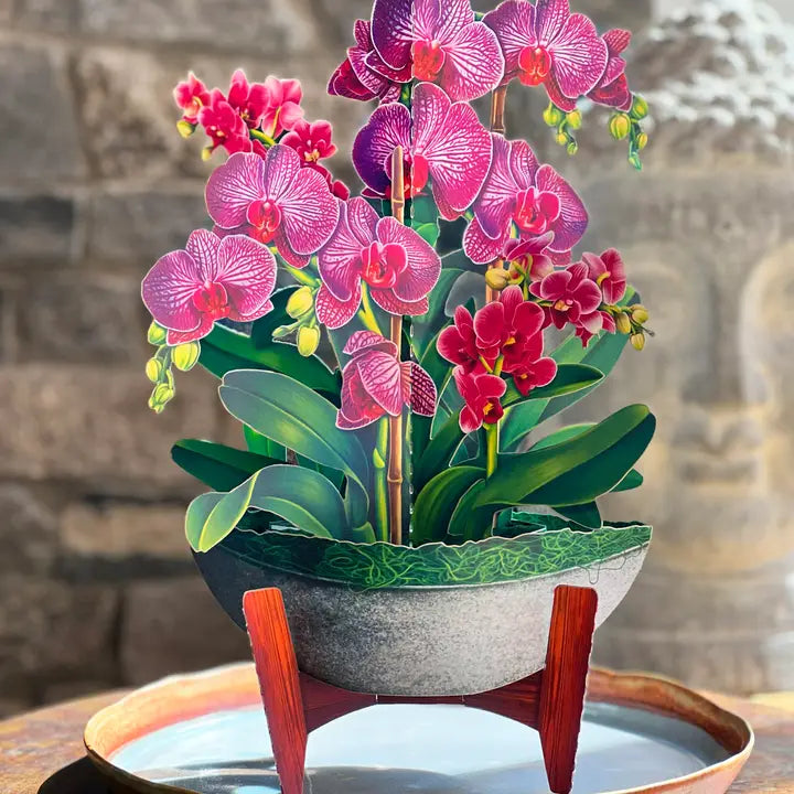 Orchid Oasis Pop-Up Greeting Cards