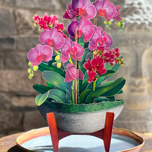 Orchid Oasis Pop-Up Greeting Cards