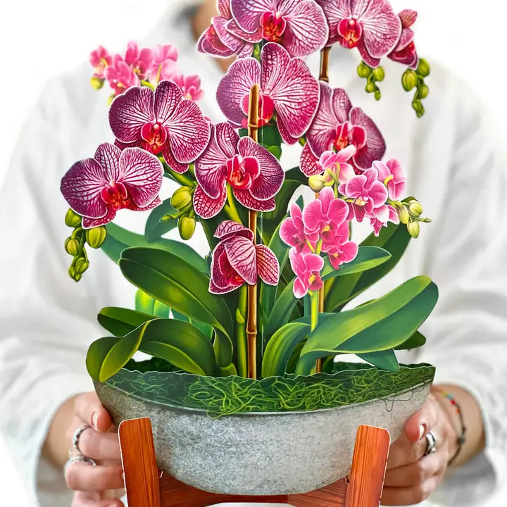 Orchid Oasis Pop-Up Greeting Cards