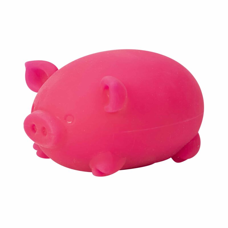 NeeDoh Dig' It Pig