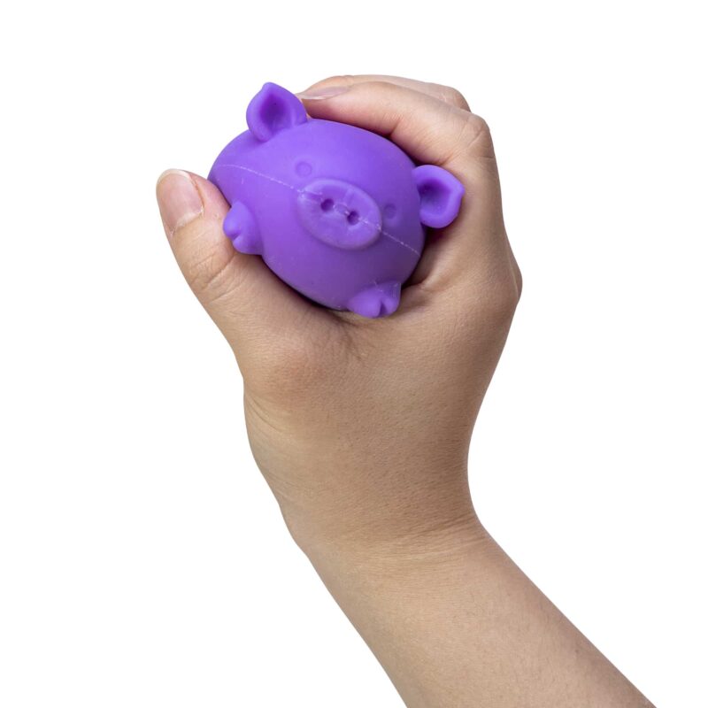 NeeDoh Dig' It Pig